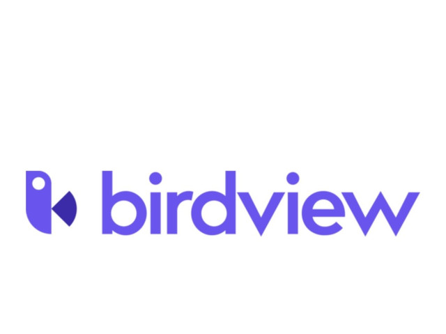 Birdview Professional Services Automation